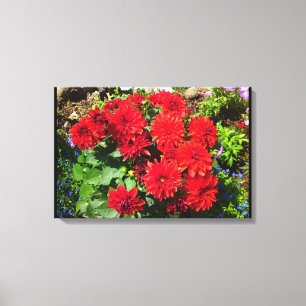 Red Dahlia Blume Leinwand