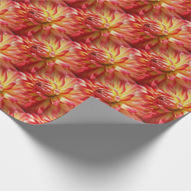 Red Dahlia Blume Muster Natur   Geschenkpapier (Ecke)