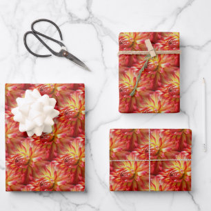Red Dahlia Blume Muster Natur Geschenkpapier Set