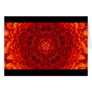 RED DAHLIA BLUME PETALS