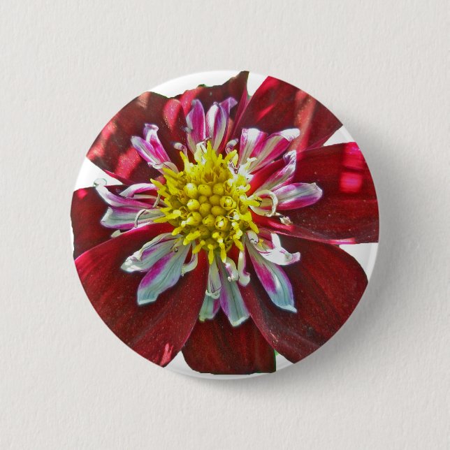 Red Dahlia Button (Vorderseite)