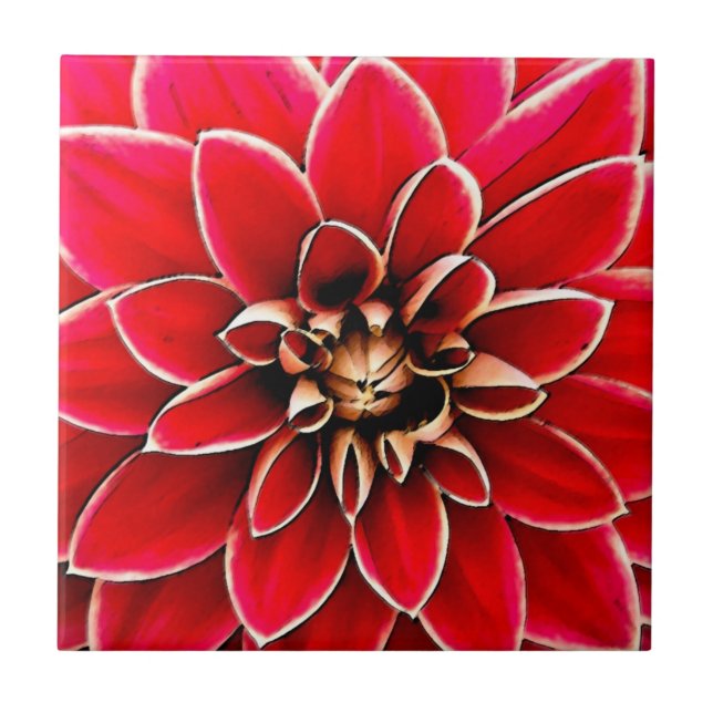 Red Dahlia, digitale Kunst Fliese (Vorderseite)