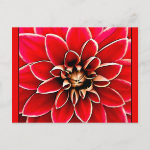 Red Dahlia, digitale Kunst Postkarte