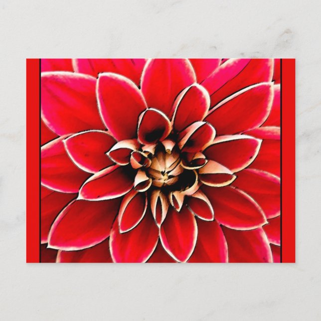 Red Dahlia, digitale Kunst Postkarte (Vorderseite)