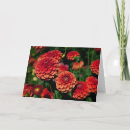 Red Dahlia Note Card Karte