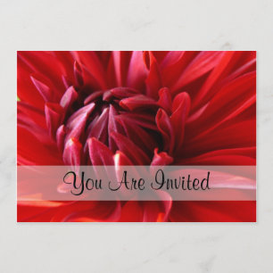 Red Dahlia Sie sind eingeladen Einladung