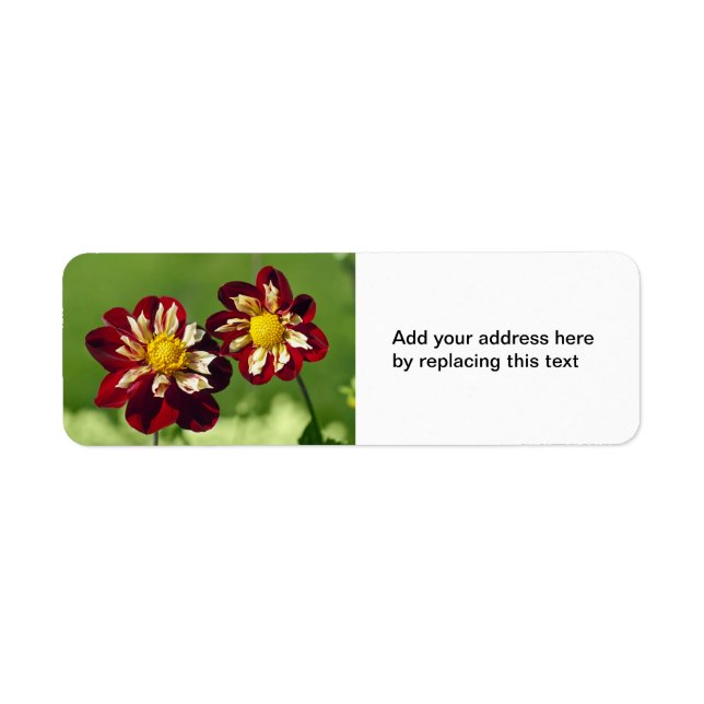 Red Dahlias Address Label (Vorne)