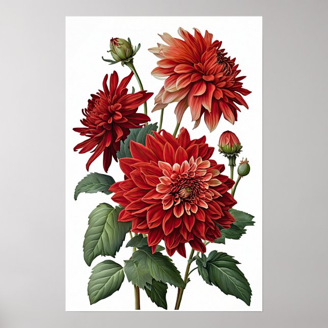 Red Dahlias Blume Art Print Poster (Vorne)