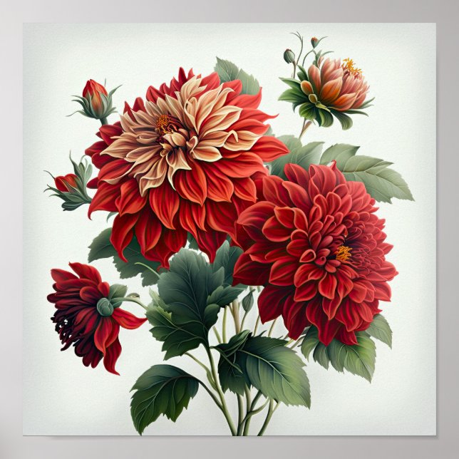 Red Dahlias Blume Art Print Poster (Vorne)