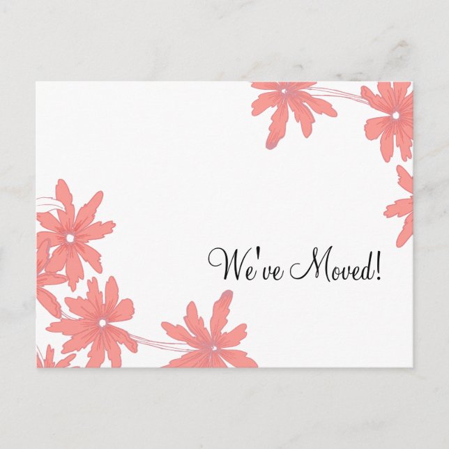 Red Daisies Änderung der Ankündigung (Vorderseite)