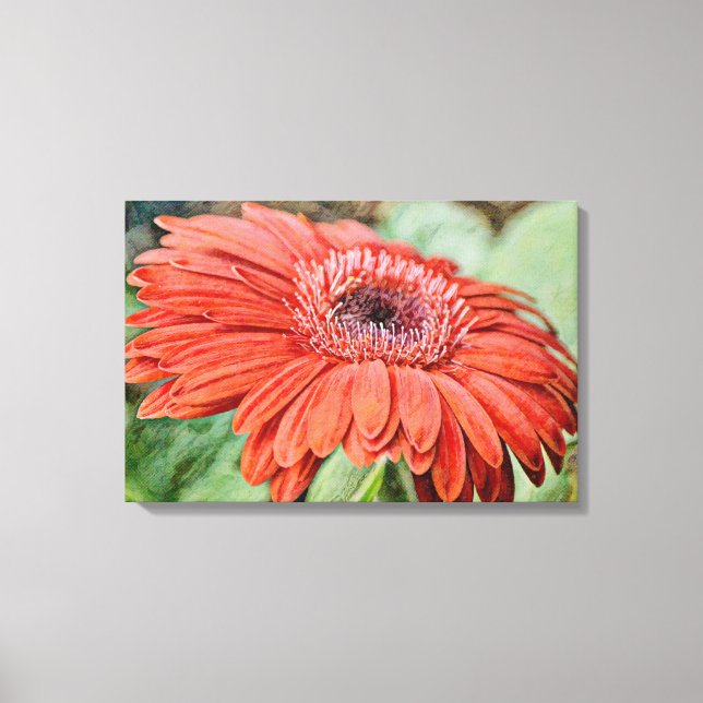 Red Daisy Blume Blumenstrauß Art Canvas Print Leinwanddruck (Vorderseite)