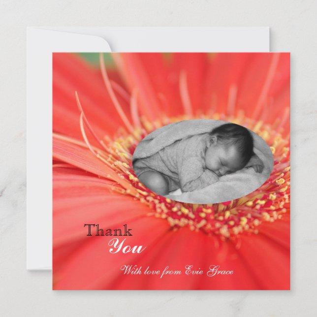 Red Daisy Blume Kind Vielen Dank Baby Ankündigung (Vorderseite)