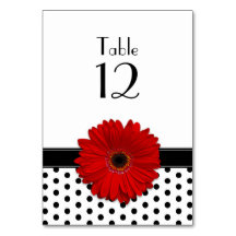 Red Daisy Schwarz-weiß Polka Dot Wedding