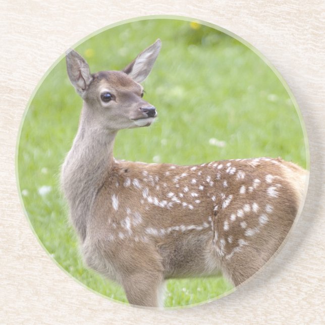 Red Deer Fawn Untersetzer (Vorne)