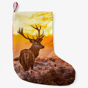 Red Deer in Morning Sun. deer,animal,wildlife,natu Kleiner Weihnachtsstrumpf