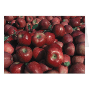 Red Delicious Apple Crop