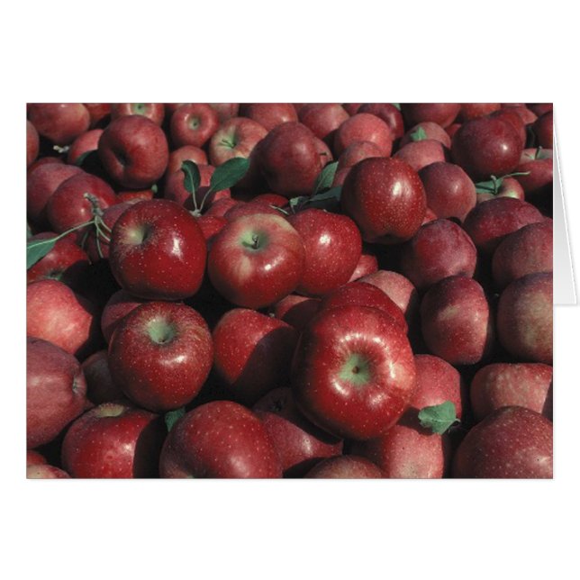 Red Delicious Apple Crop (Vorderseite (Horizontal))