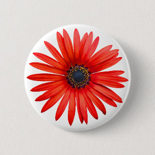 Red Devil Button