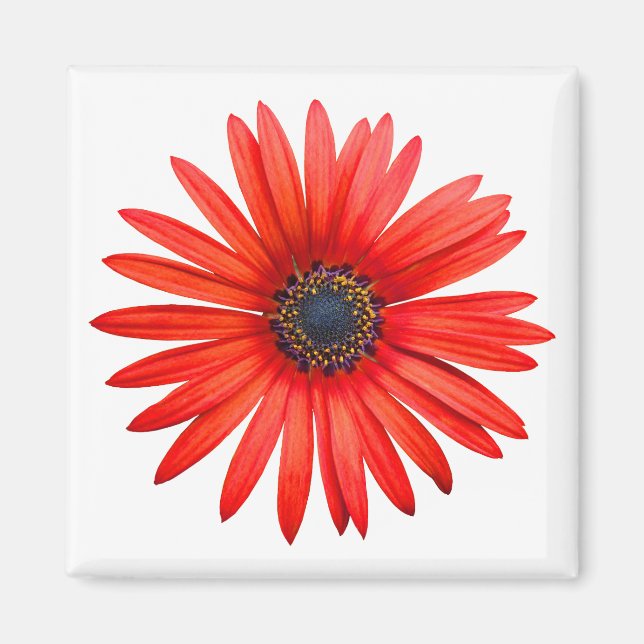 Red Devil Magnet (Vorne)