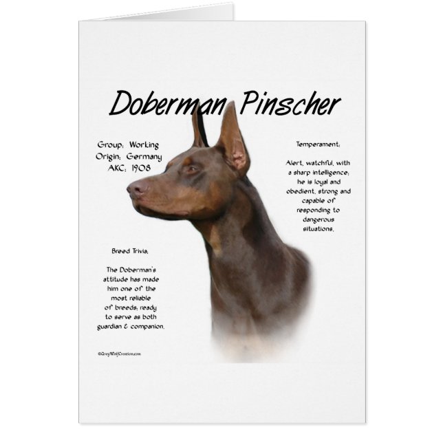 Red Doberman History (Vorne)