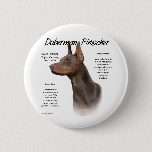 Red Doberman History Button (Vorderseite)