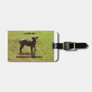 Red_doberman_Liebe w pic Gepäckanhänger