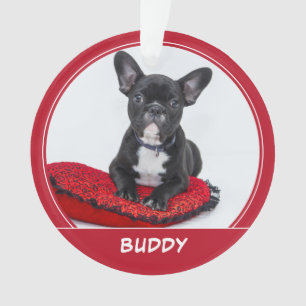 Red Dog Welpe Weihnachten Foto Ornament