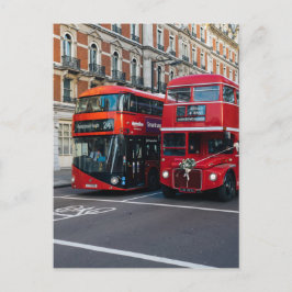 Red Double Decker Buses Postkarte