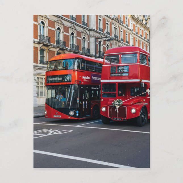 Red Double Decker Buses Postkarte (Vorderseite)