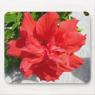 Red Double Hibisken Blume Mousepad