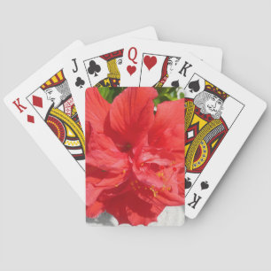 Red Double Hibisken Blume Spielkarten