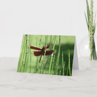 Red Dragonfly Note Card Karte