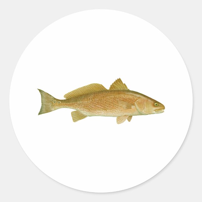 Red Drum Runder Aufkleber (Vorderseite)