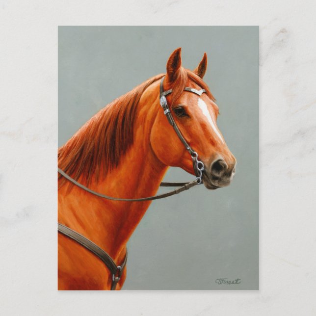 Red Dun Kastnut Sorrel Western Quarter Horse Postkarte (Vorderseite)