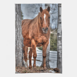 Red Dun Ranch Horse Animal Lover Foto Küchentuch
