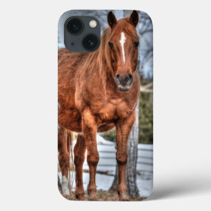 Red Dun Ranch Horse Equine Lover Foto Case-Mate iPhone Hülle
