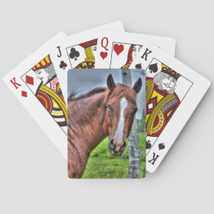 Red Dun Ranch Horse Mare Tierliebhaber Foto Spielkarten