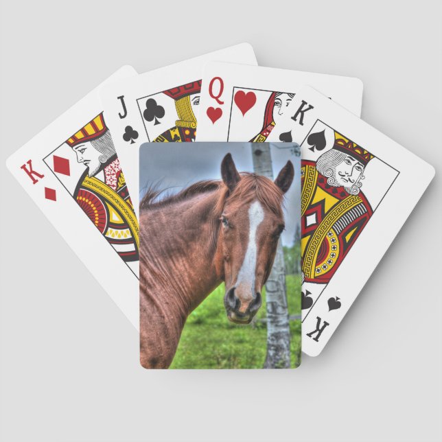 Red Dun Ranch Horse Mare Tierliebhaber Foto Spielkarten (Rückseite)