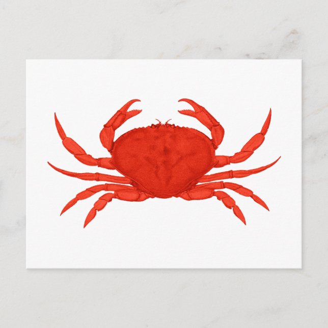 Red Dungeness Crab Logo Postkarte (Vorderseite)