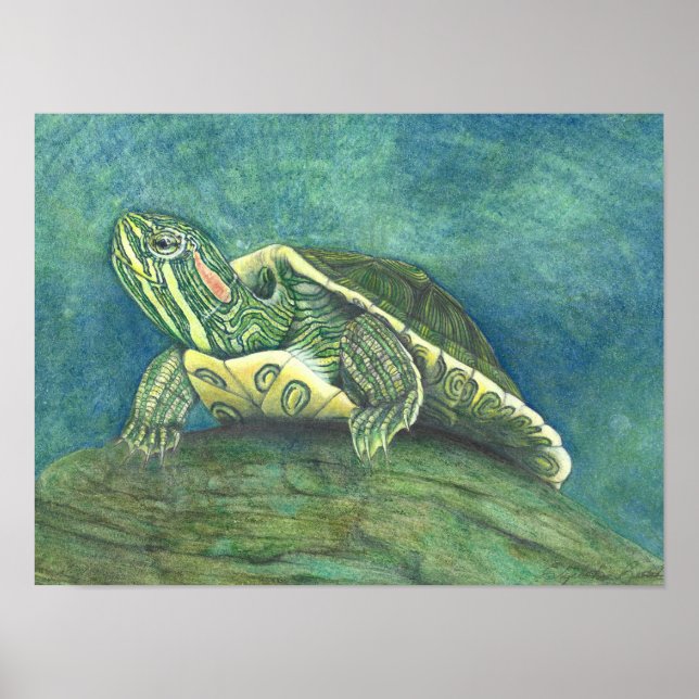 Red-Eared Slider Poster (Vorne)