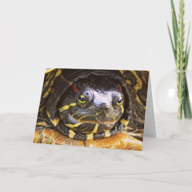 Red Eared Slider Turtle Head Karte (Vorderseite)
