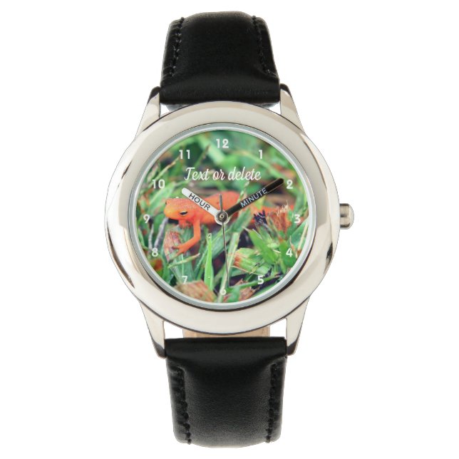 Red Eft Orange Salamander Nature 1 Armbanduhr (Vorderseite)