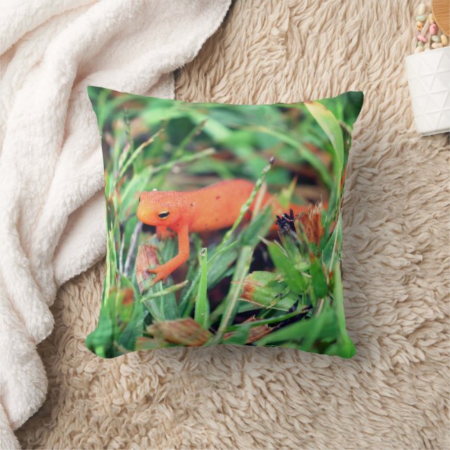 Red Eft Orange Salamander Nature 1  Kissen (Decke)