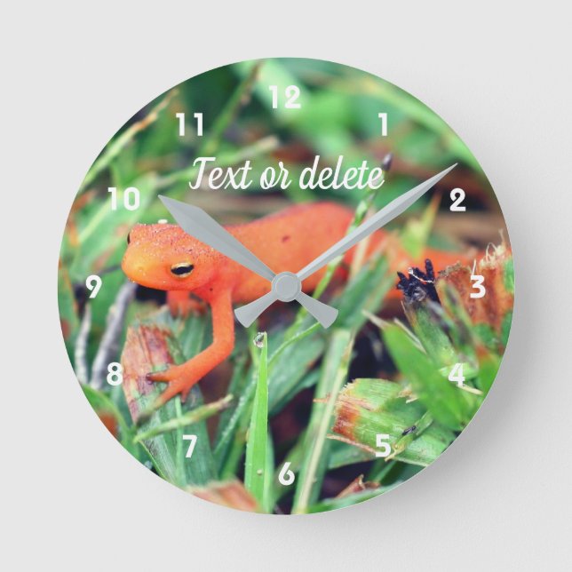 Red Eft Orange Salamander Nature Personalisiert Runde Wanduhr (Vorderseite)