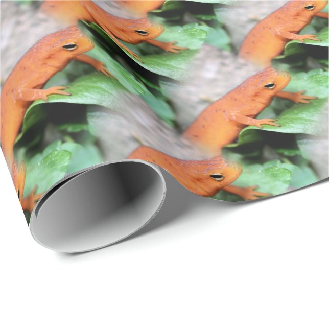 Red Eft Orange Salamander Tiermuster   Geschenkpapier (Rolleneckpunkt)