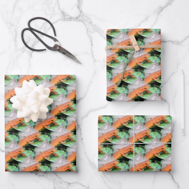 Red Eft Orange Salamander Tiermuster Geschenkpapier Set (Vorderseite)