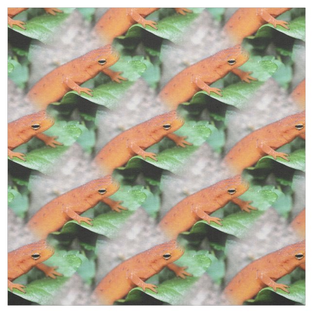 Red Eft Orange Salamander Tiermuster Stoff (Muster)