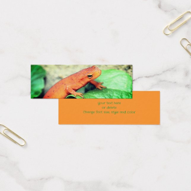 Red Eft Salamander Nature Mini Signet (Bureau)