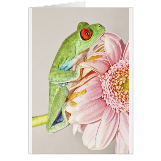 Red Eye-Baum-Frosch Karte