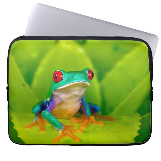 Red-eyed tree frog, Costa Rica Laptopschutzhülle (Vorderseite)